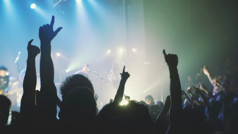 crowd cheering band during night time